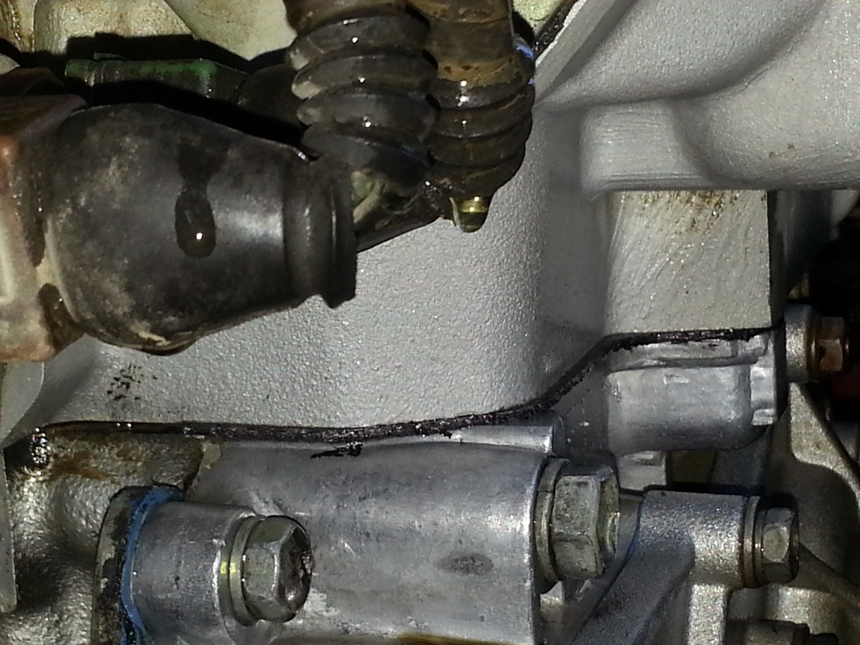 Name: 20130817_151445.jpg
Views: 90
Size: 1.71 MB