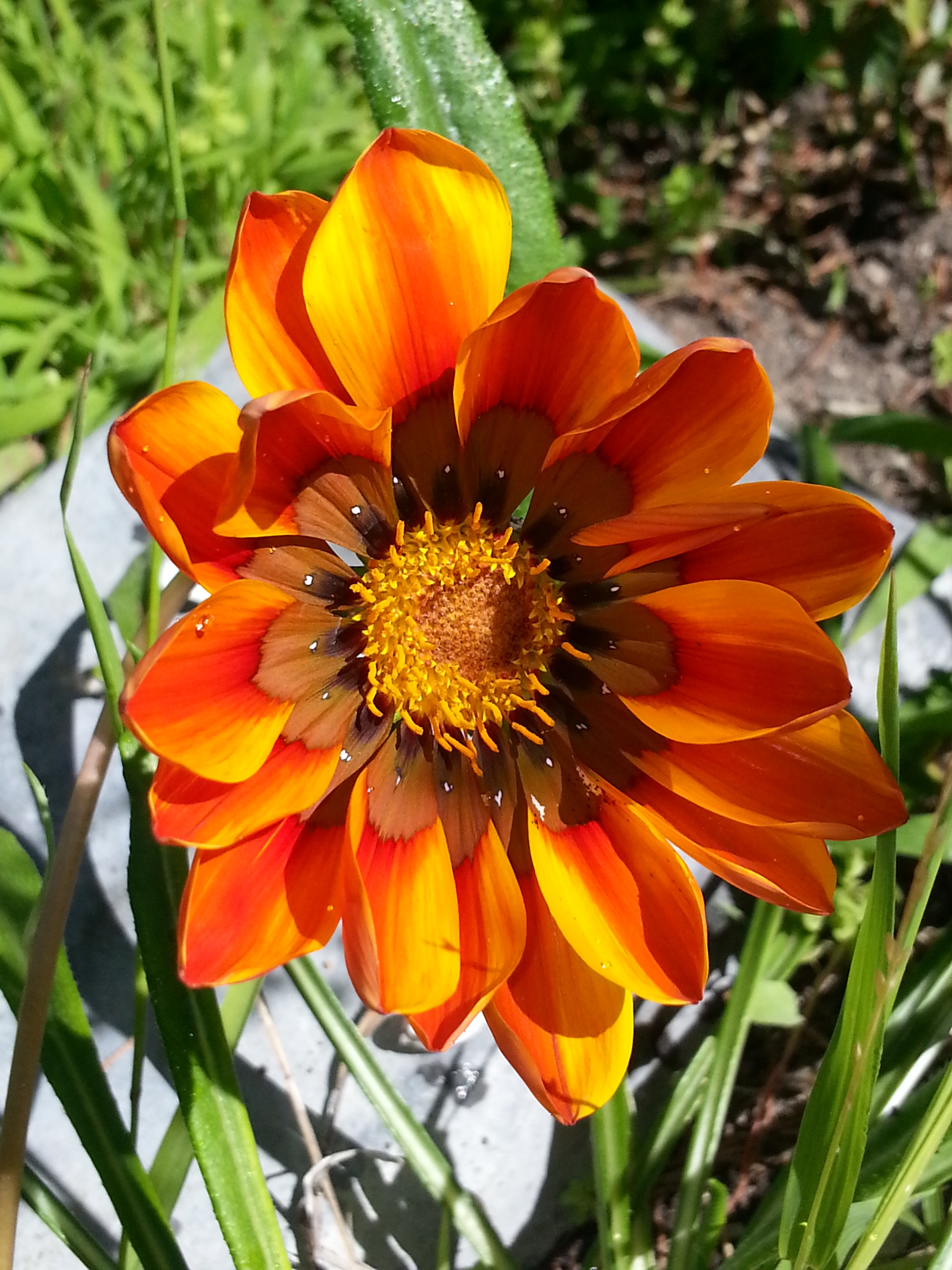 Name:  20130806_155630.jpg
Views: 109
Size:  2.05 MB