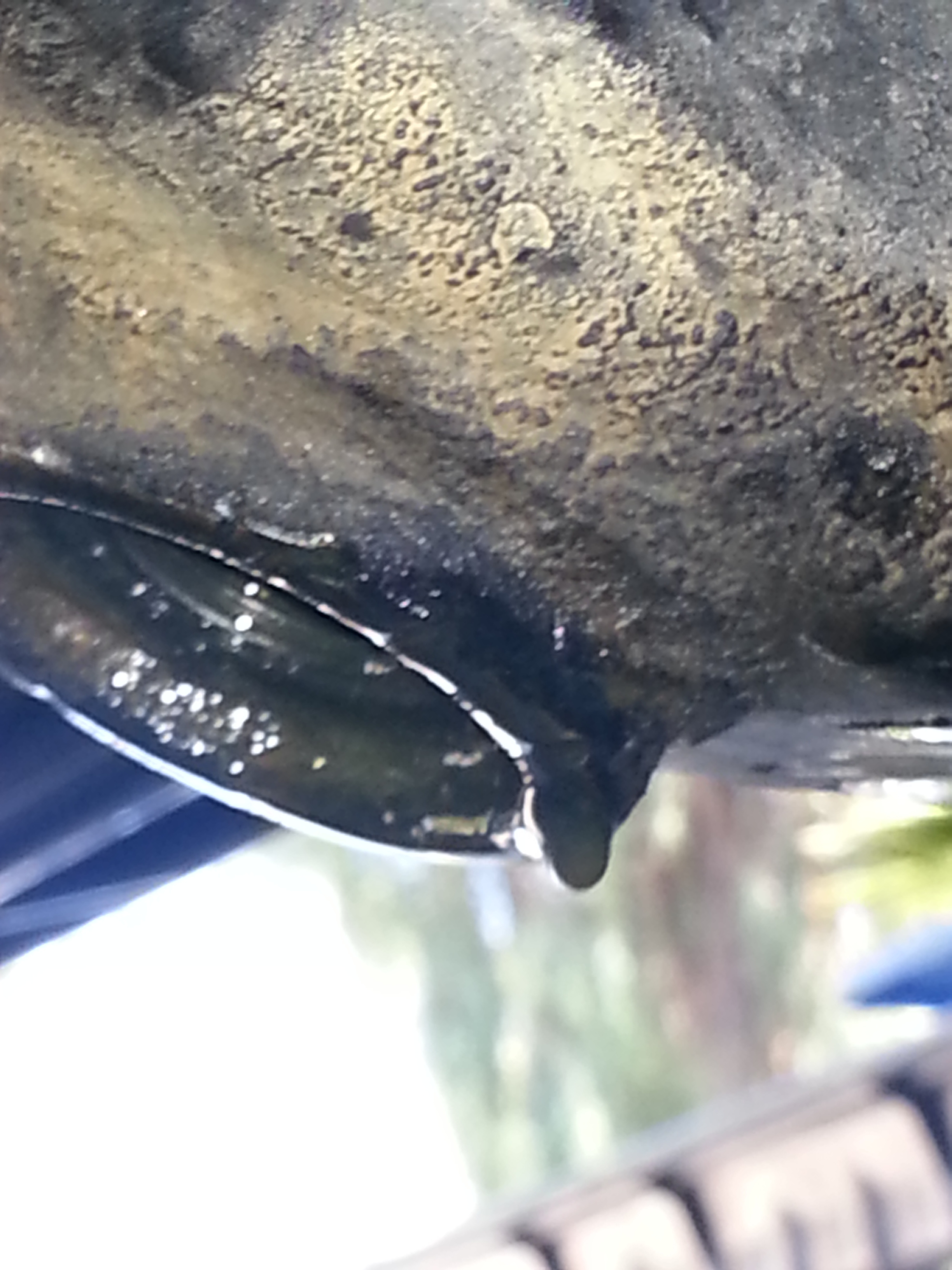 Name:  20130727_153040.jpg
Views: 112
Size:  1.20 MB
