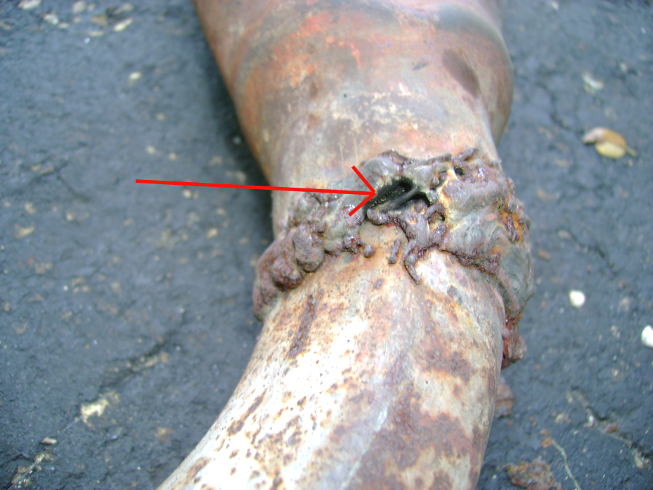 Name:  Downpipe1_zps28e13e61.jpg
Views: 123
Size:  503.3 KB