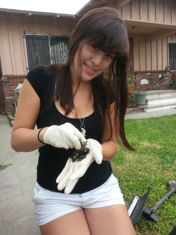 Name:  20130720_153403_zps2bb525f6.jpg
Views: 133
Size:  95.1 KB
