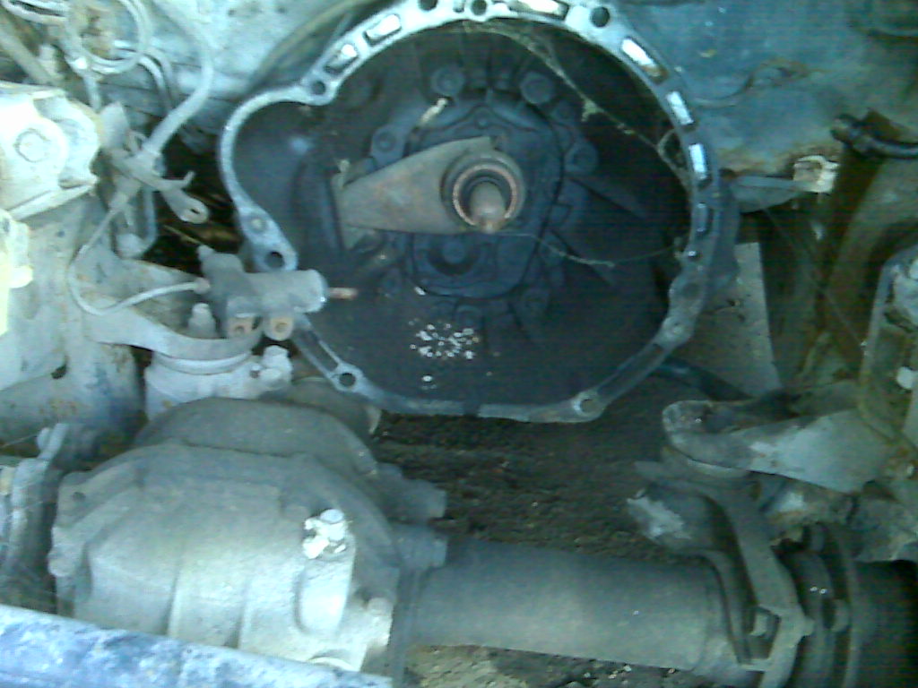 Name:  IMG00691_zps46619beb.jpg
Views: 94
Size:  119.5 KB