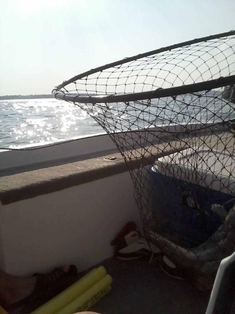 Name:  fish5_zps23f120e2.jpg
Views: 172
Size:  76.3 KB