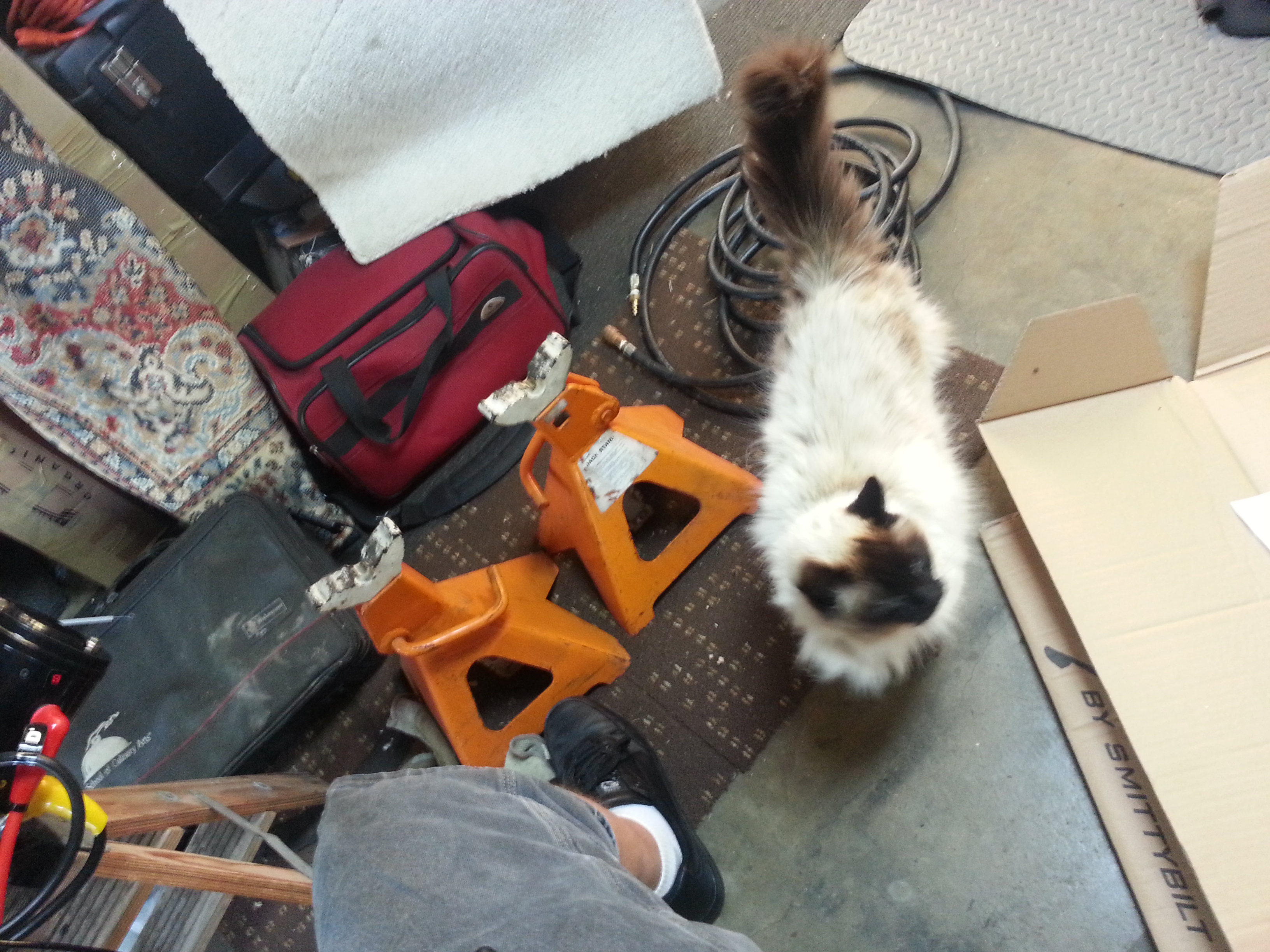 Name:  20130623_191431.jpg
Views: 81
Size:  2.30 MB
