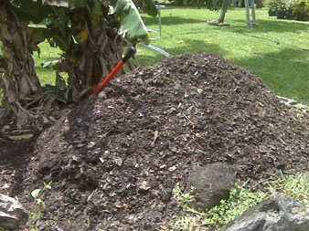 Name:  pile_zpsd37e5bb3.jpg
Views: 125
Size:  70.4 KB