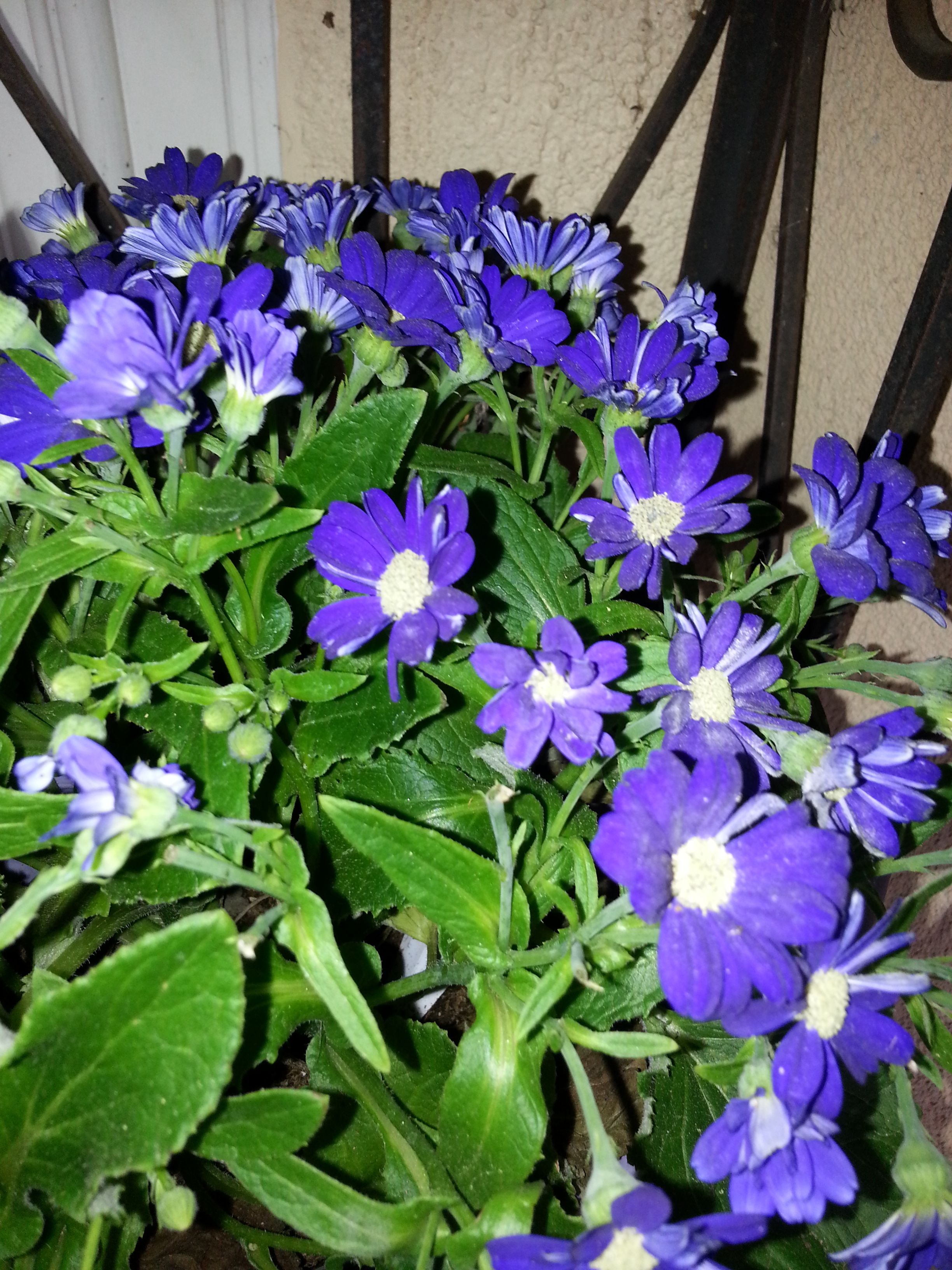 Name: 20130424_132940-1.jpg
Views: 89
Size: 2.67 MB