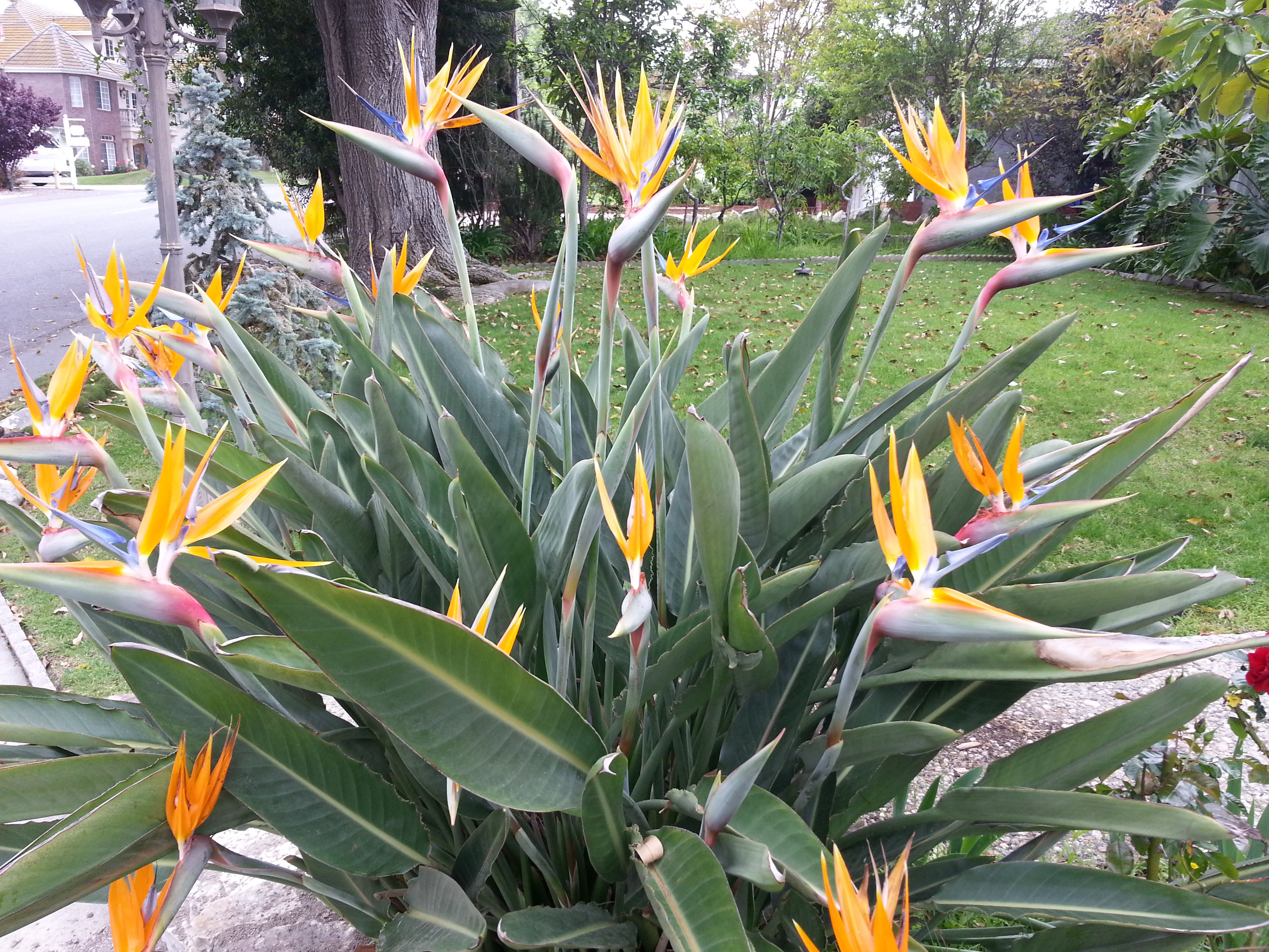Name: 20130424_132808-1.jpg
Views: 92
Size: 3.66 MB