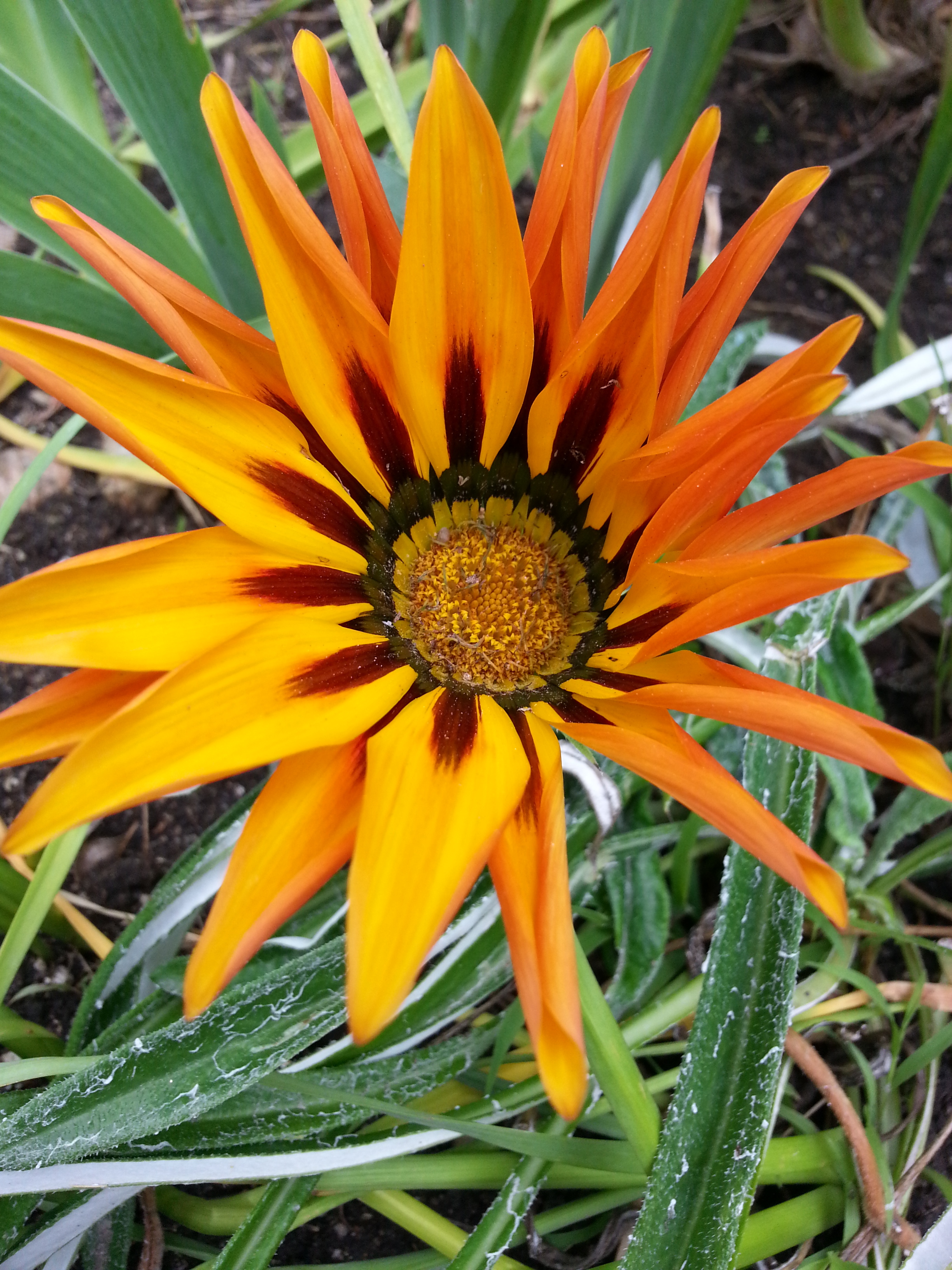 Name: 20130424_132750-1.jpg
Views: 78
Size: 2.52 MB