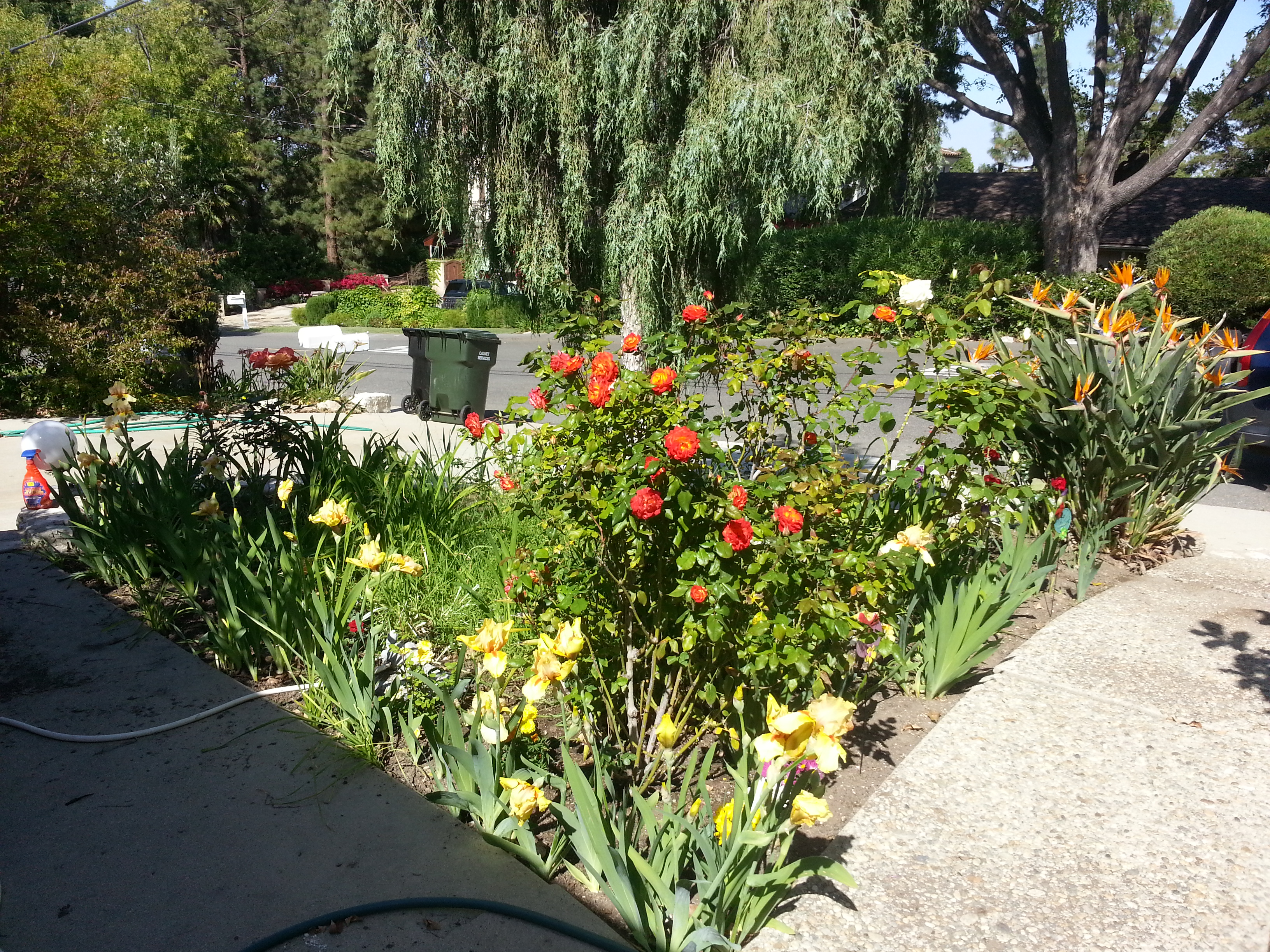 Name: 20130507_155120.jpg
Views: 134
Size: 3.91 MB