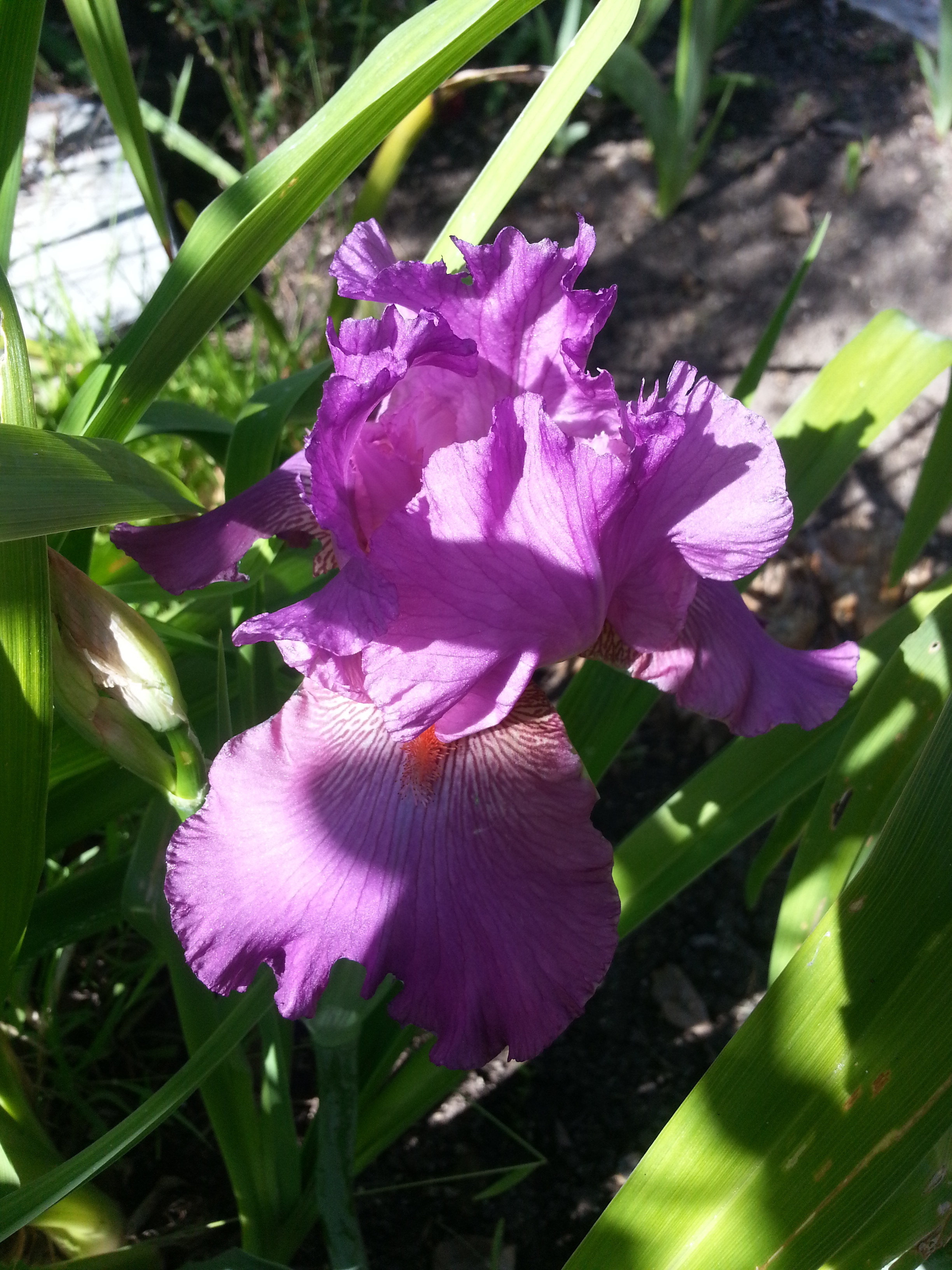 Name: 20130507_155213.jpg
Views: 78
Size: 2.42 MB
