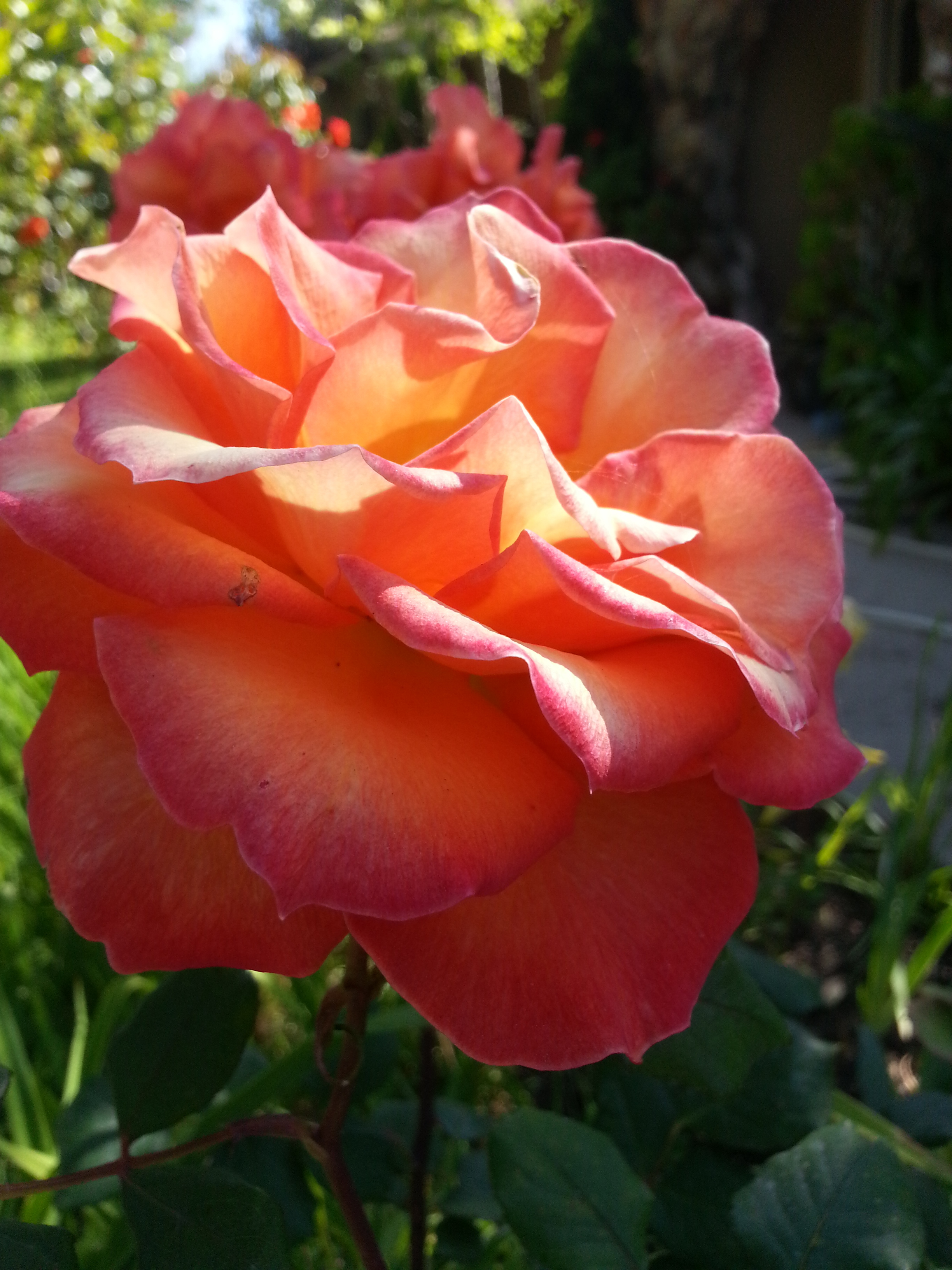 Name: 20130507_155254.jpg
Views: 74
Size: 2.00 MB