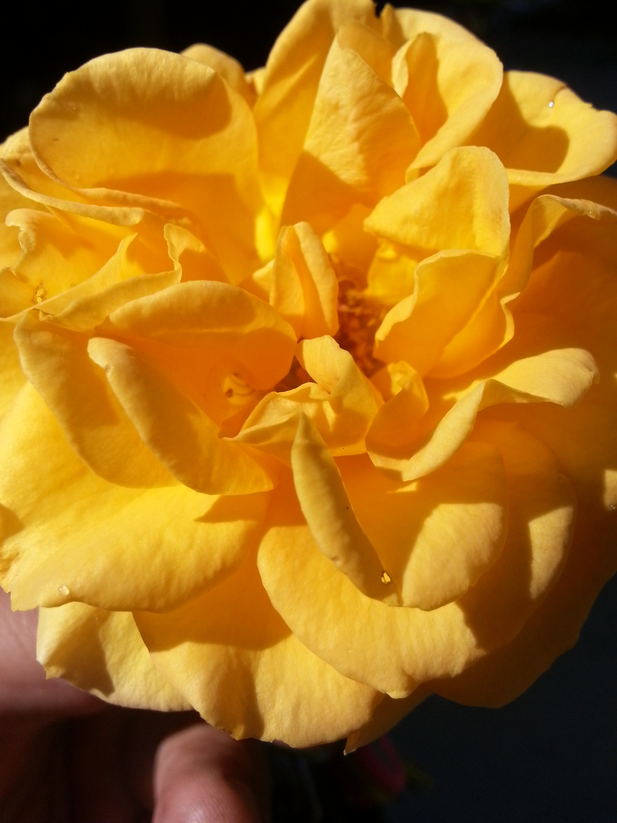 Name: 20130507_155337.jpg
Views: 80
Size: 1.73 MB