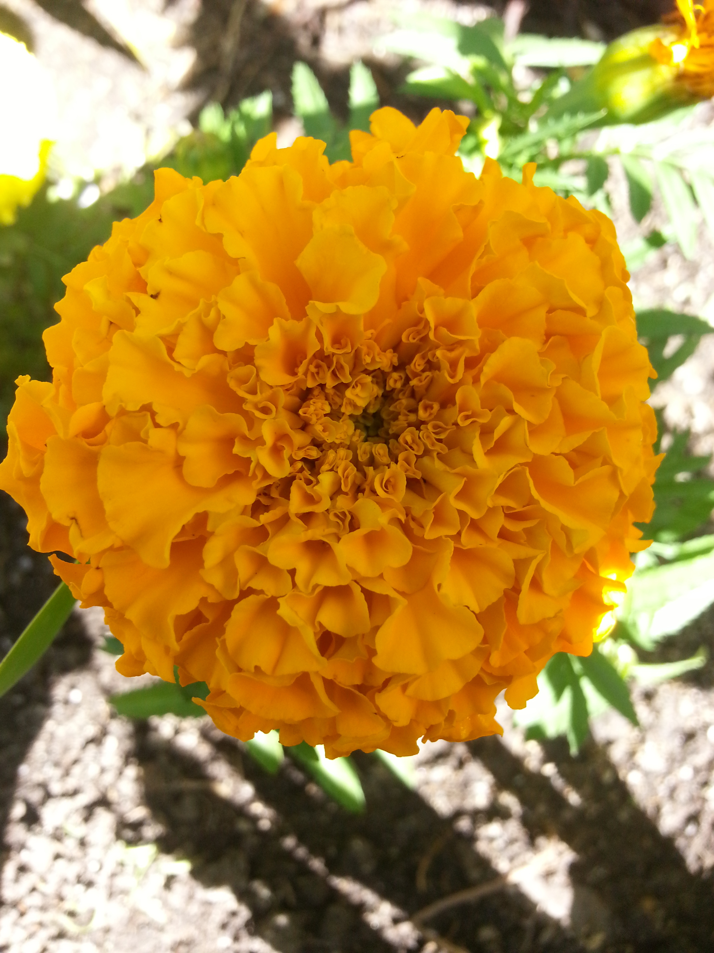 Name: 20130507_155401.jpg
Views: 80
Size: 1.95 MB