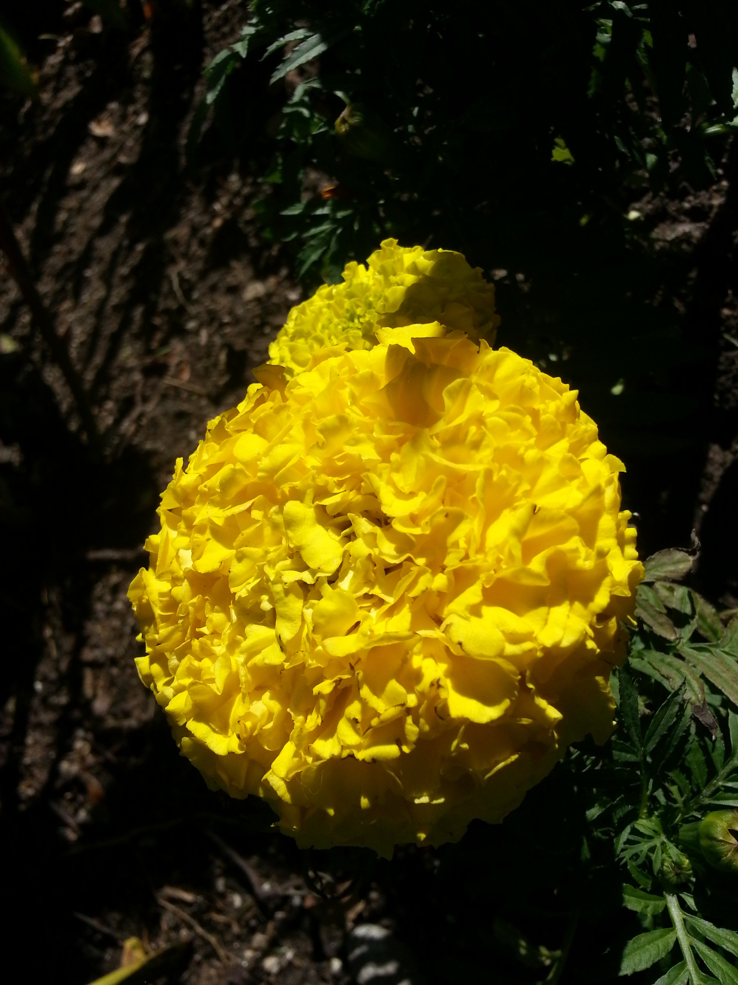 Name:  20130507_155428.jpg
Views: 77
Size:  1.85 MB