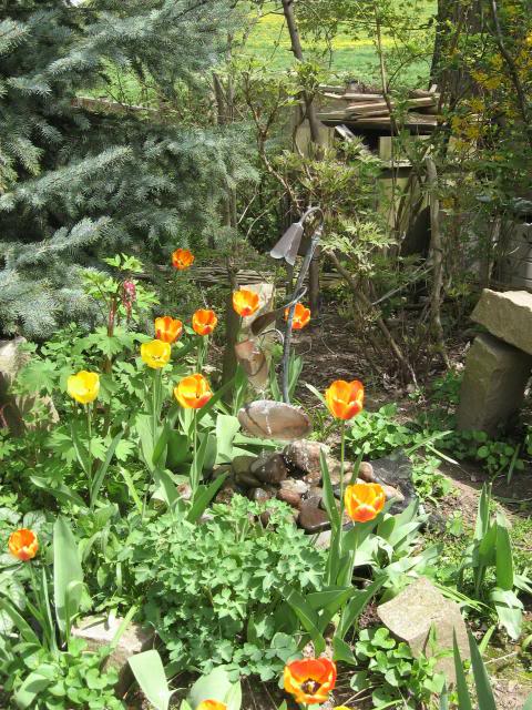 Name: IMG_0480.jpg
Views: 117
Size: 94.4 KB