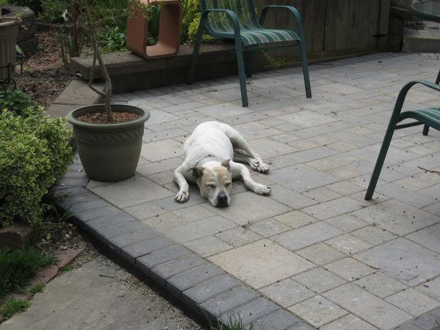 Name:  IMG_0486.jpg
Views: 85
Size:  49.0 KB