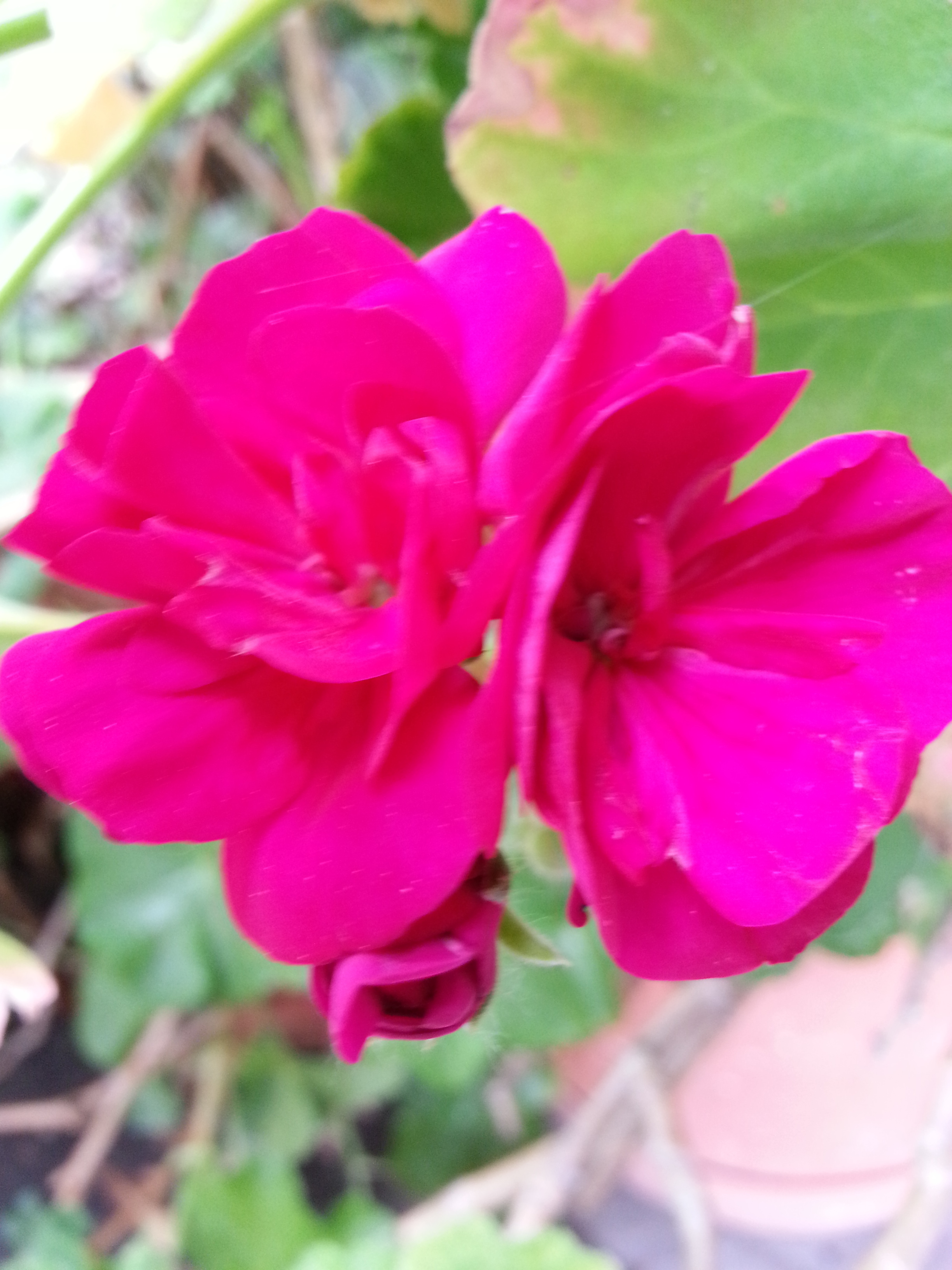 Name:  20130424_132917-1.jpg
Views: 76
Size:  1.59 MB
