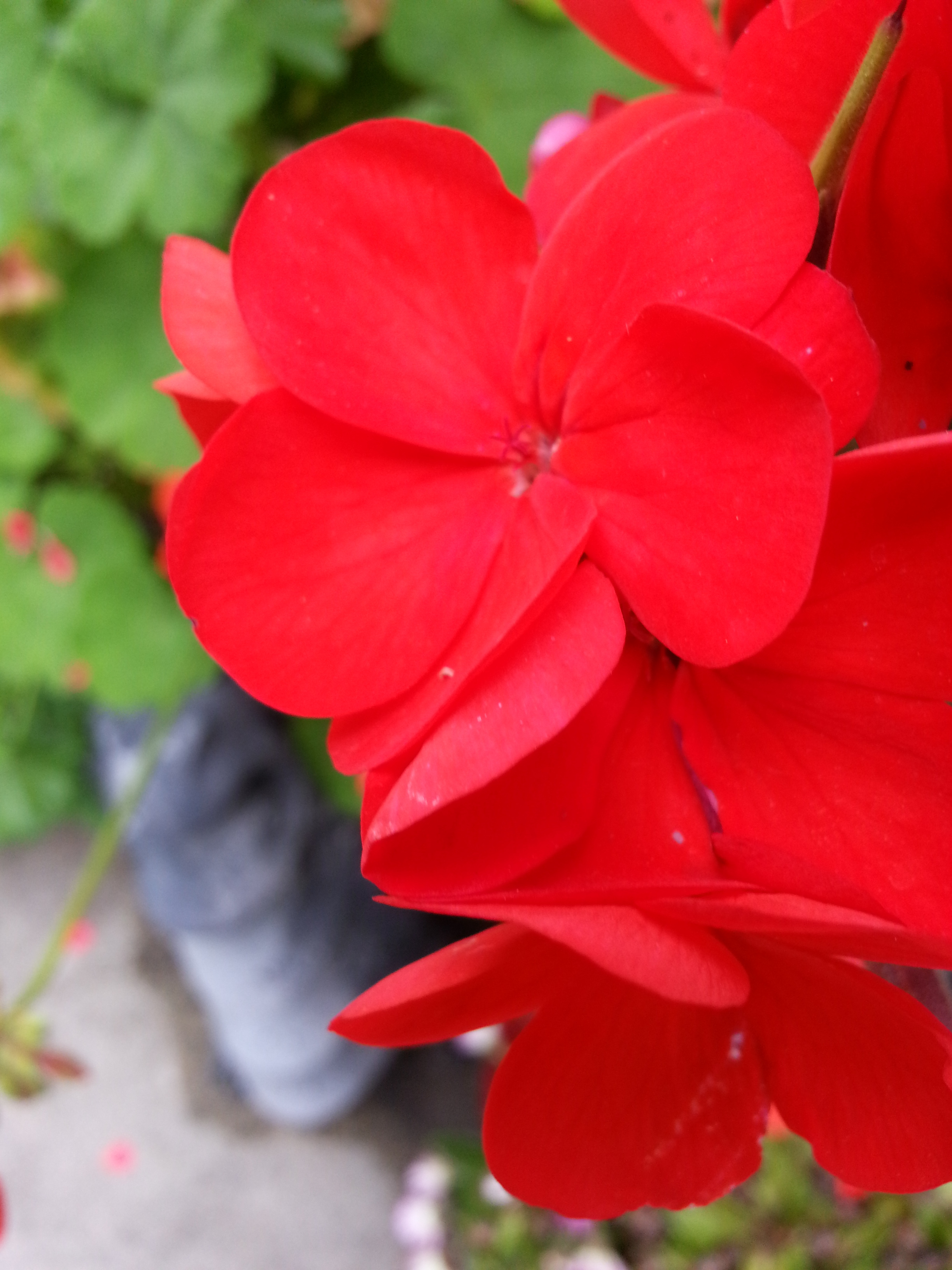 Name:  20130424_132924-1.jpg
Views: 73
Size:  1.67 MB
