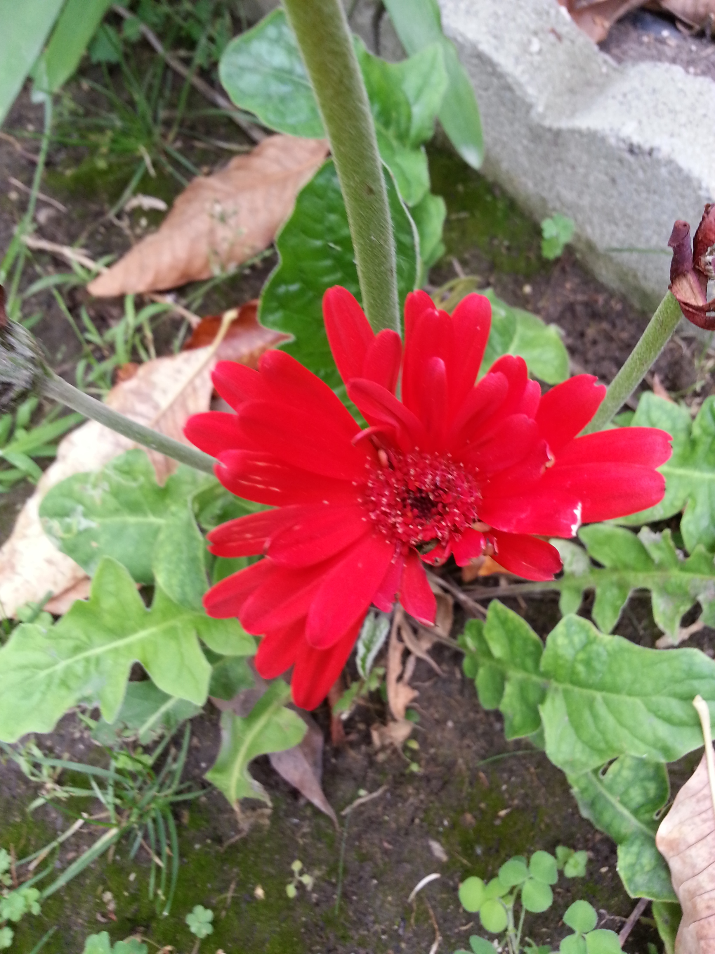 Name:  20130424_133002-1.jpg
Views: 66
Size:  1.89 MB