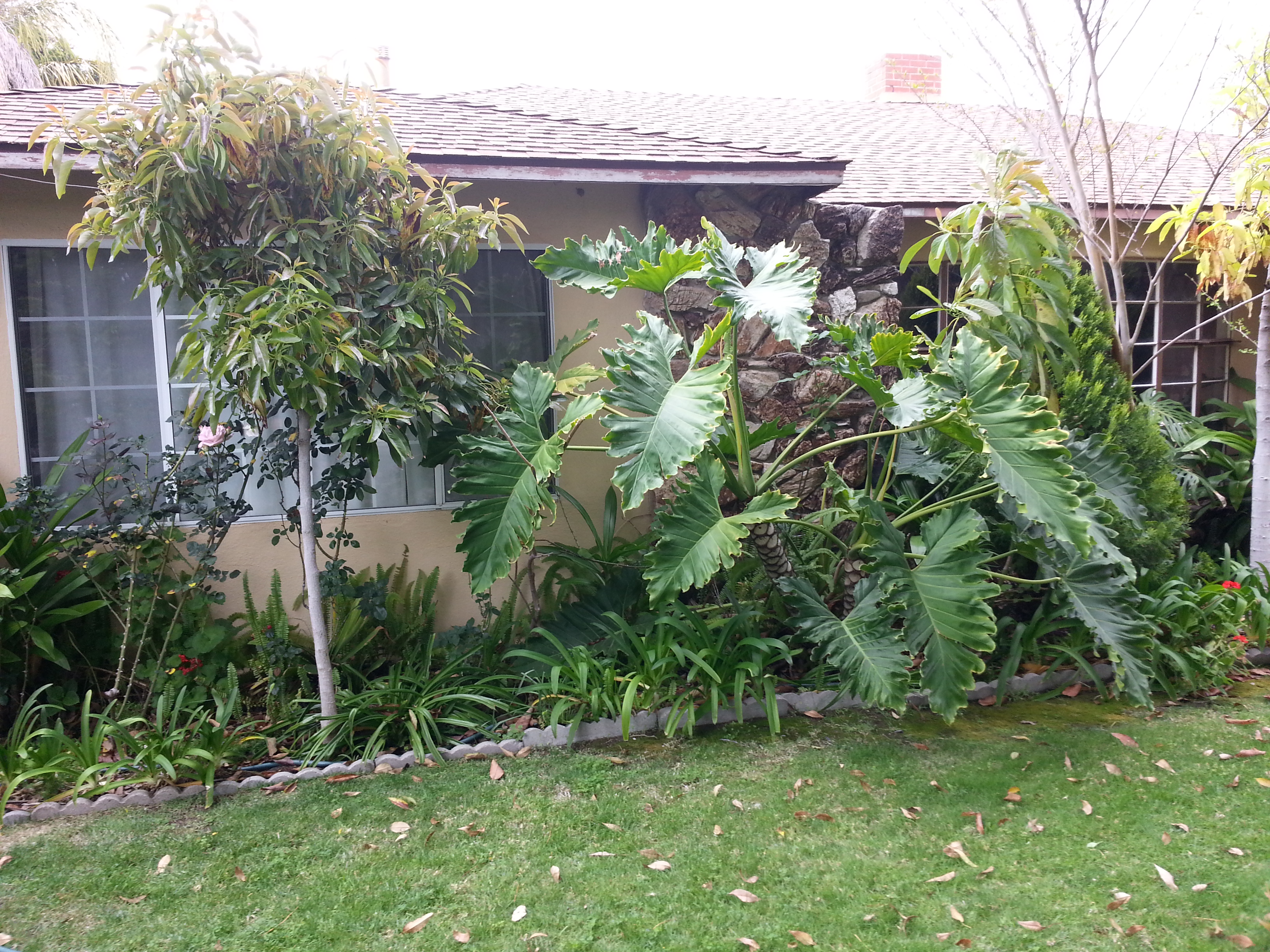 Name:  20130424_133106.jpg
Views: 148
Size:  3.55 MB