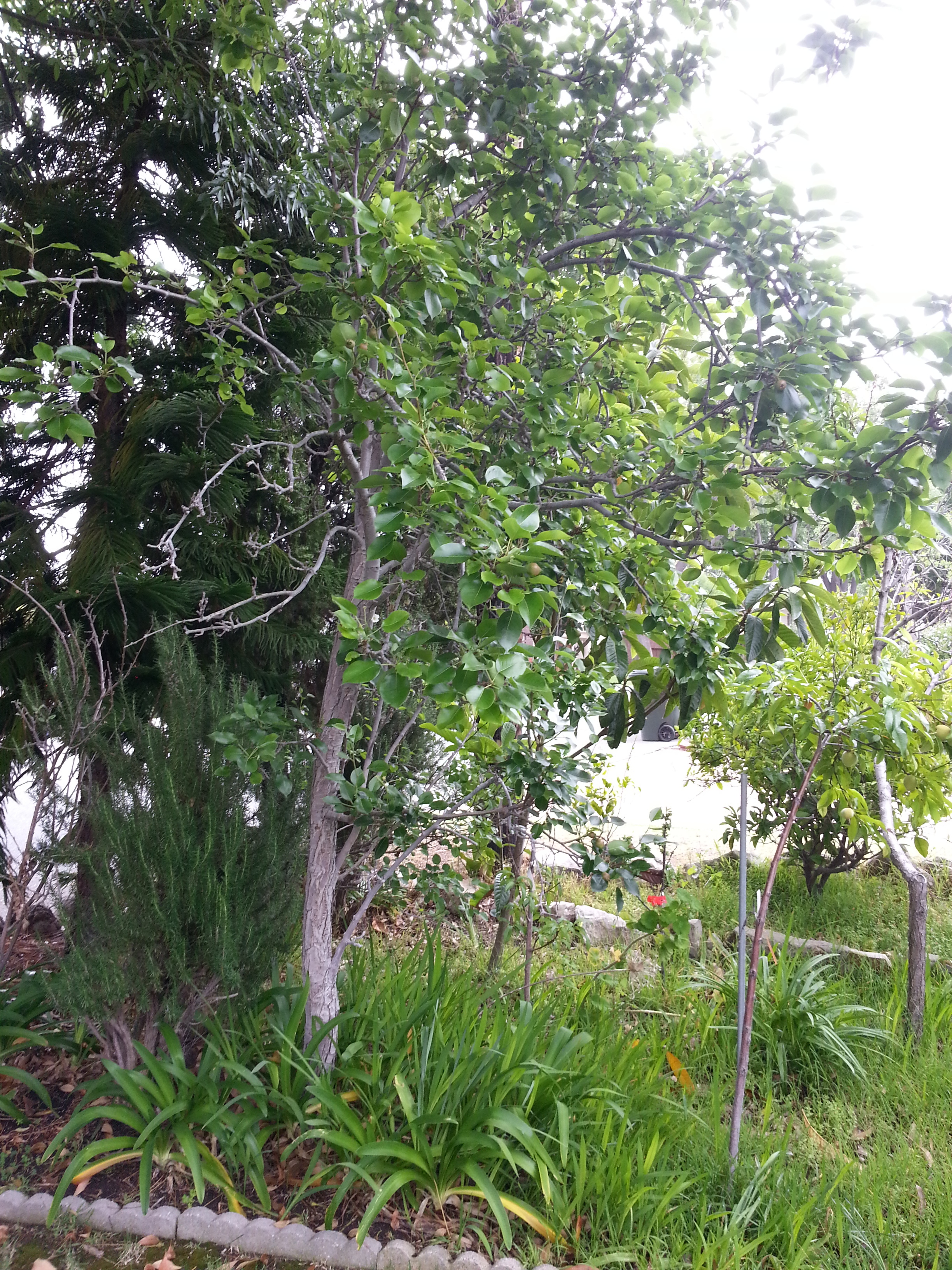 Name:  20130424_133155-1.jpg
Views: 159
Size:  3.90 MB
