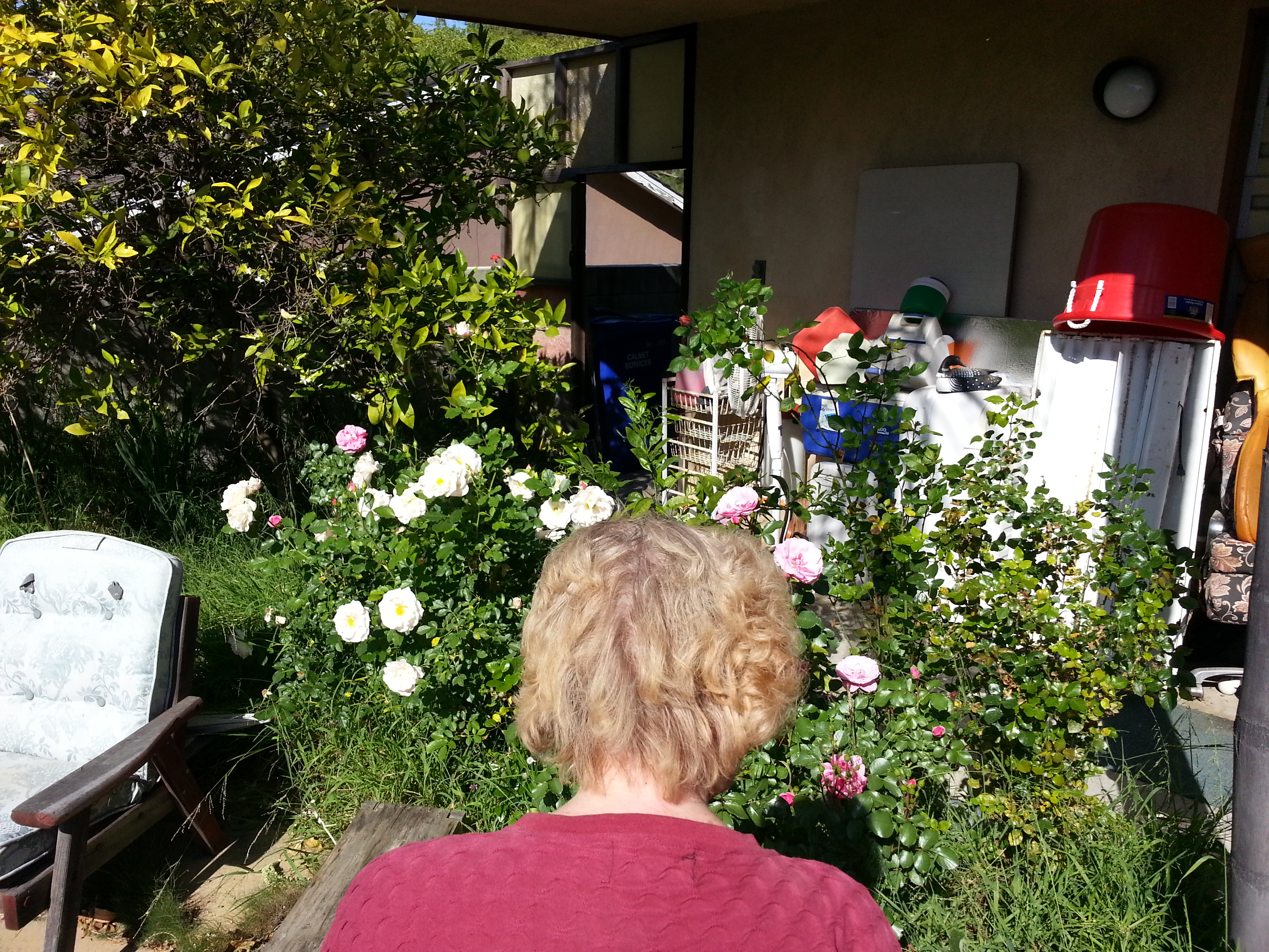 Name:  20130421_161930-1.jpg
Views: 158
Size:  3.50 MB