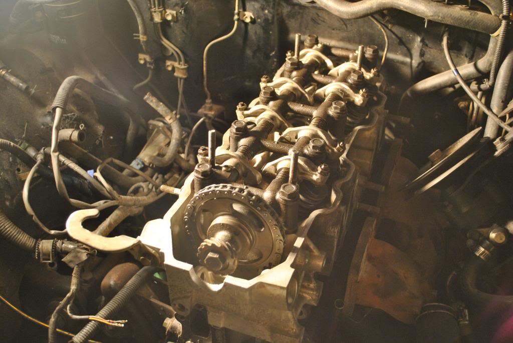 Name:  DSC_0114_zps3d1e2eb4.jpg
Views: 36
Size:  93.5 KB