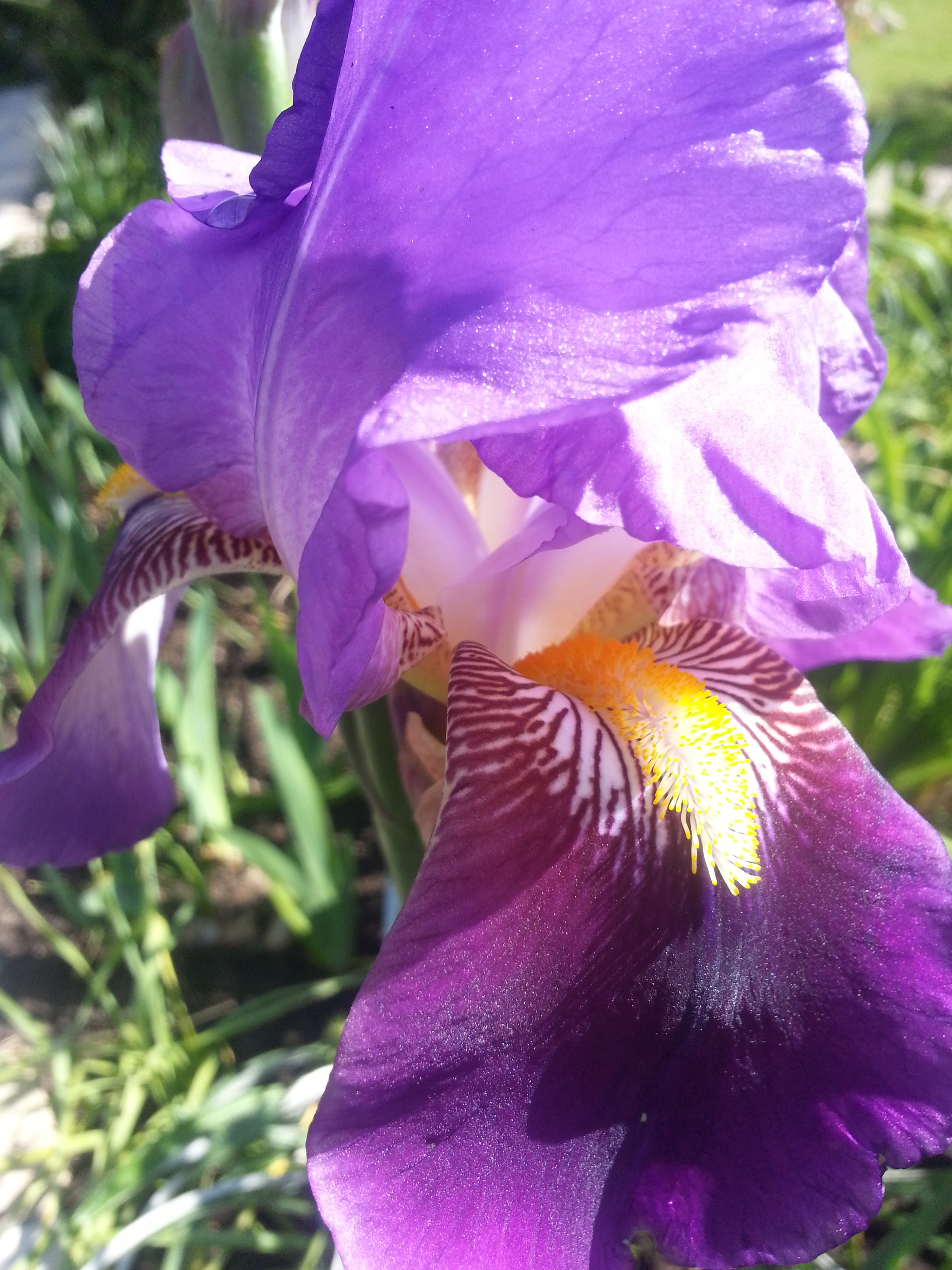 Name:  20130405_153046.jpg
Views: 478
Size:  2.37 MB
