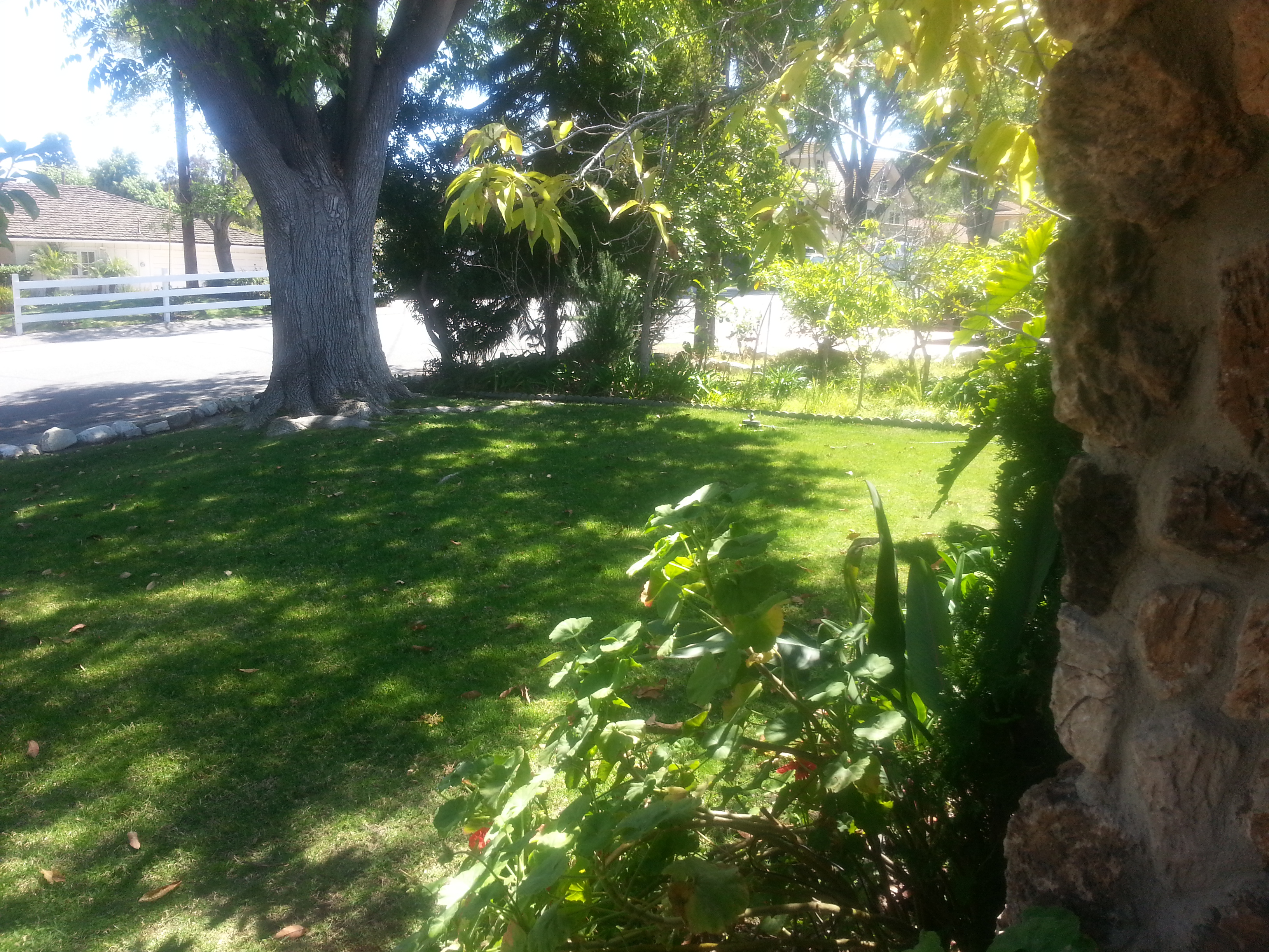 Name:  20130330_132209.jpg
Views: 350
Size:  3.45 MB