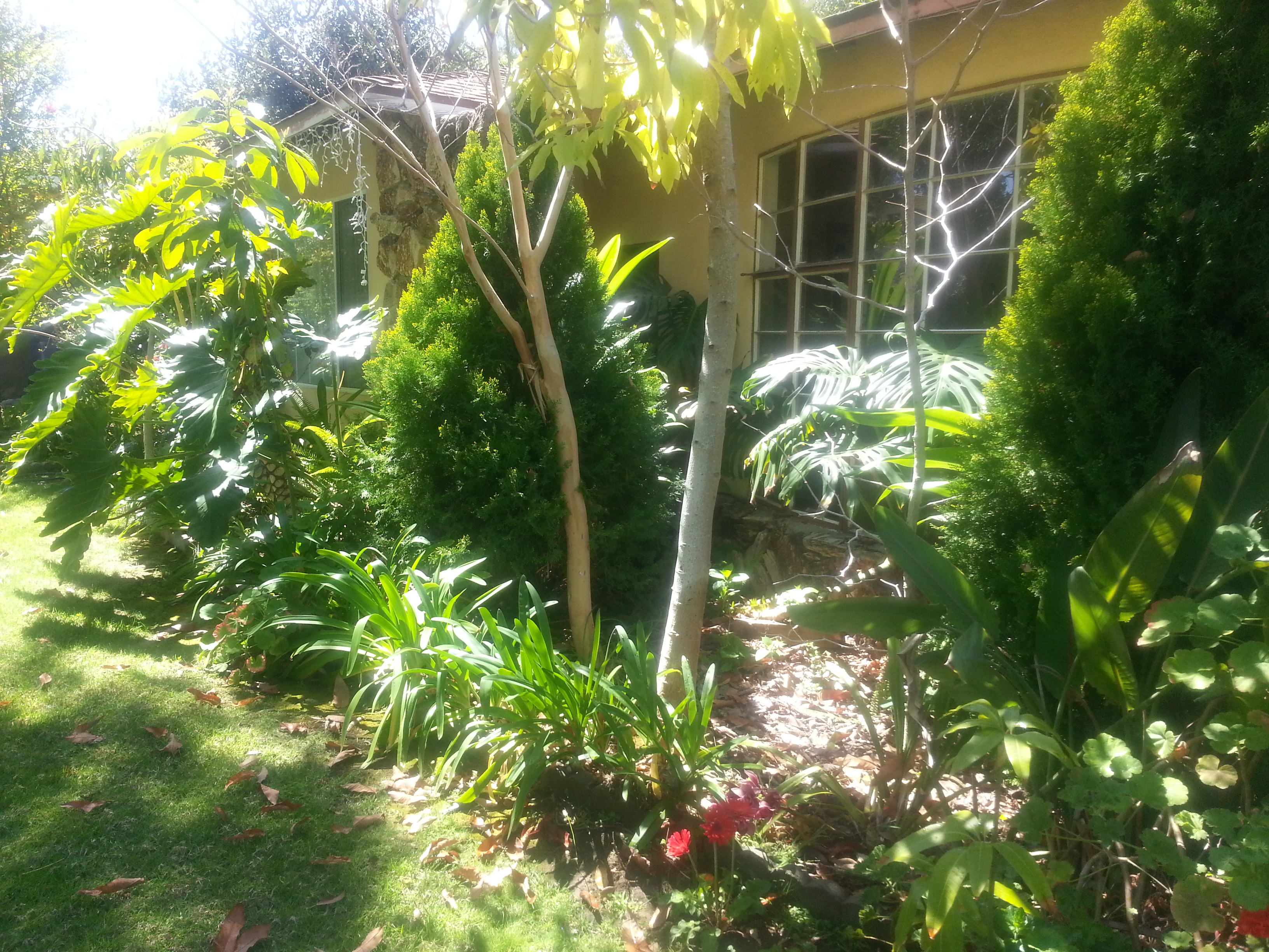 Name:  20130330_132229.jpg
Views: 323
Size:  3.58 MB