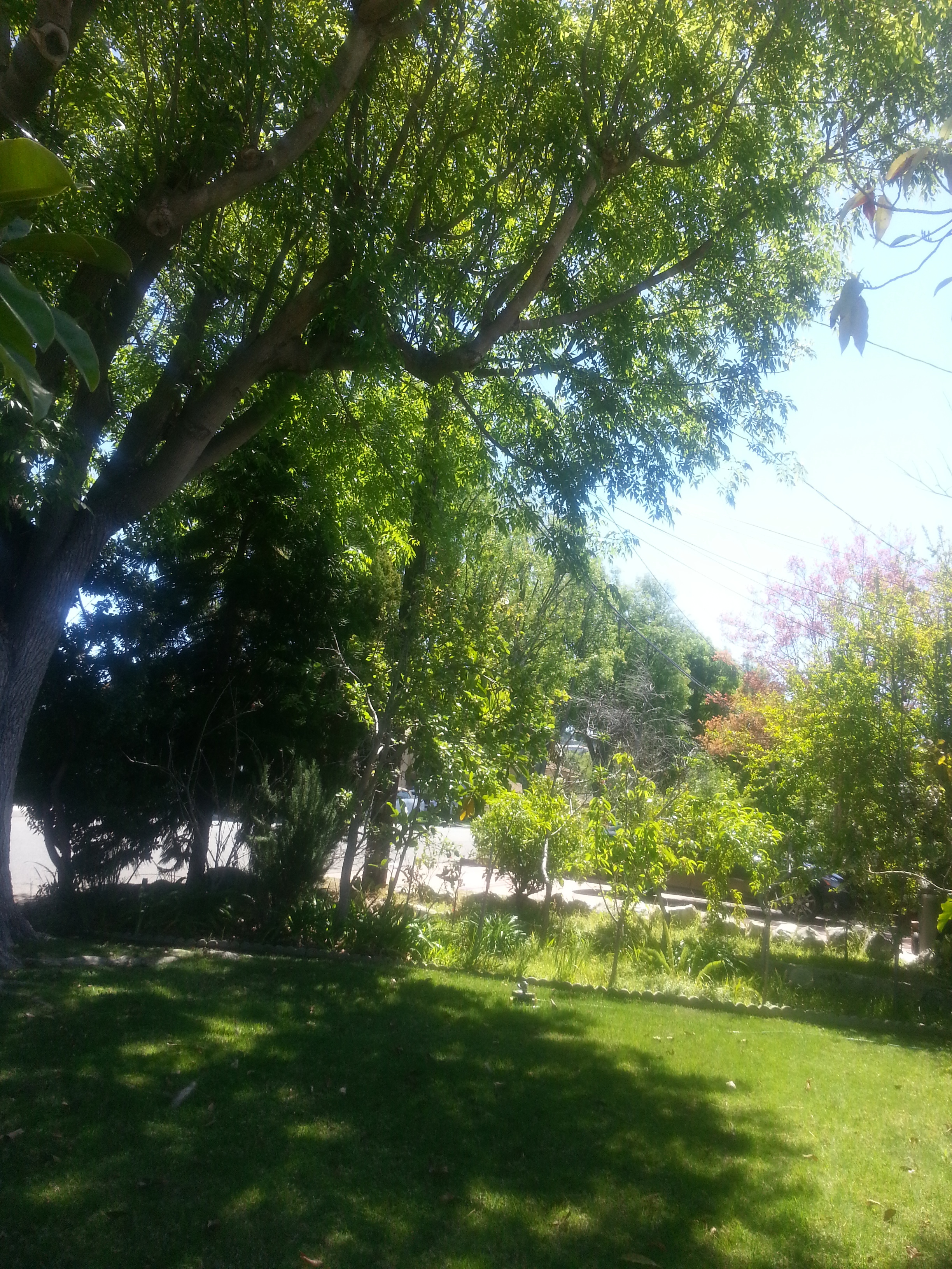 Name:  20130330_132235.jpg
Views: 366
Size:  3.46 MB
