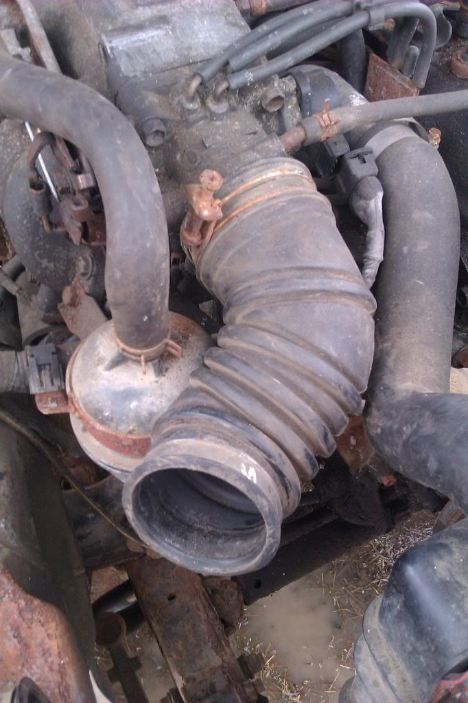 Name:  Toyota4runner079_zpsaaf6ecca.jpg
Views: 102
Size:  88.0 KB