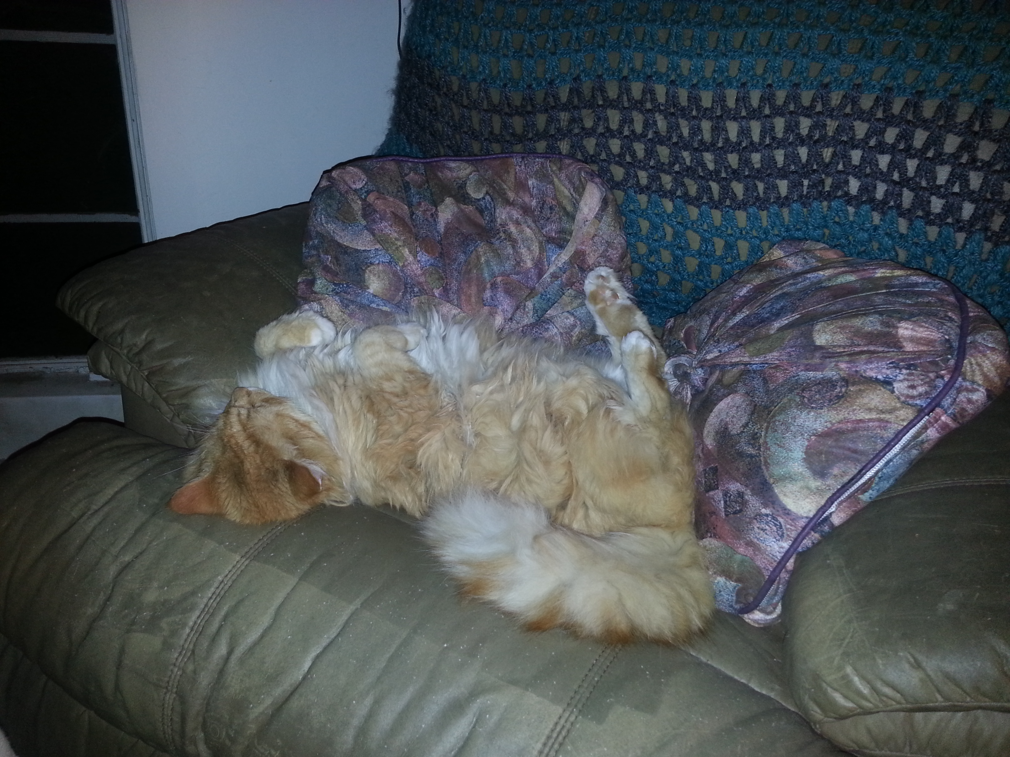 Name:  20130308_225646.jpg
Views: 84
Size:  2.34 MB