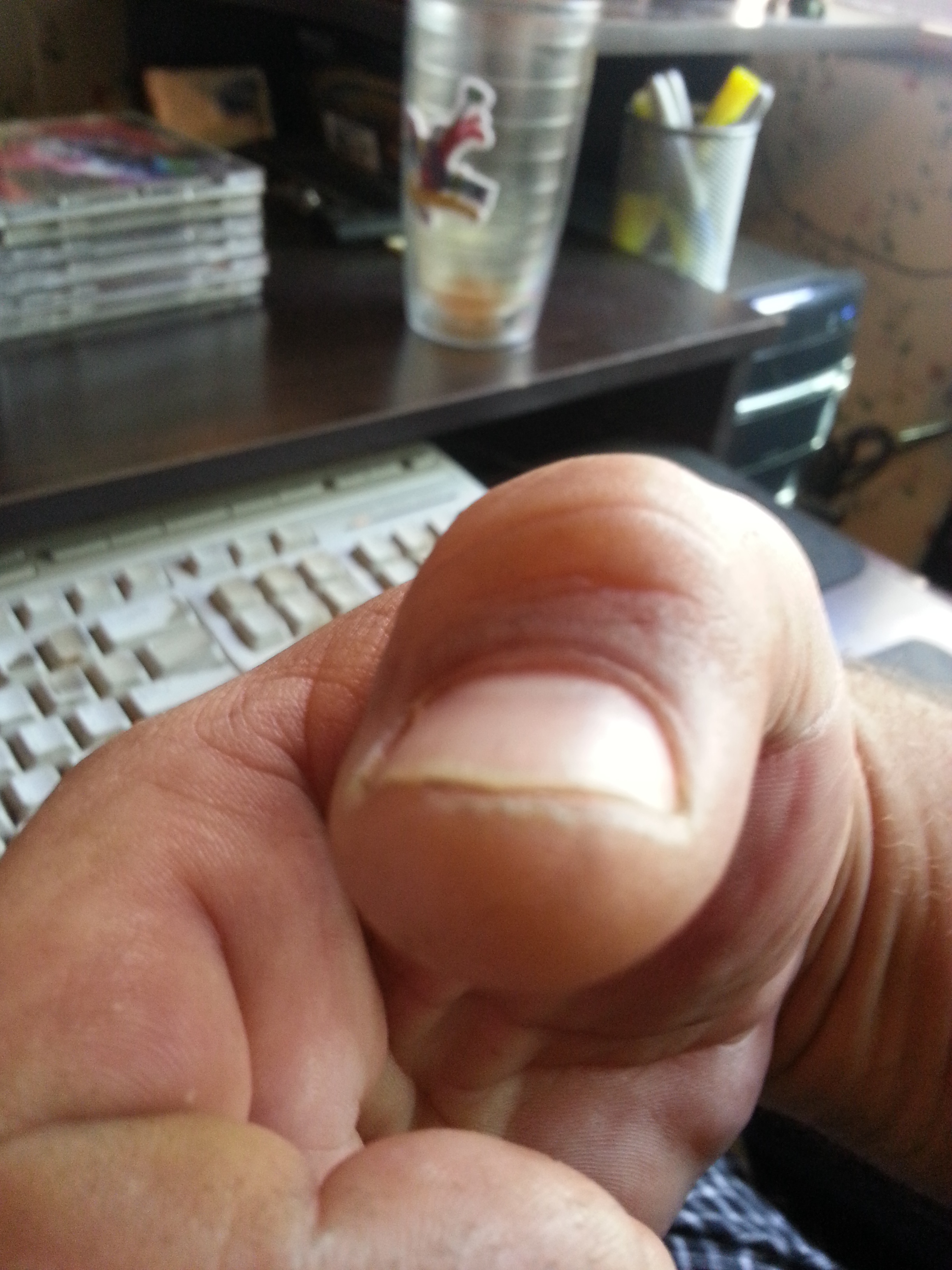 Name:  20130310_115428.jpg
Views: 101
Size:  1.98 MB