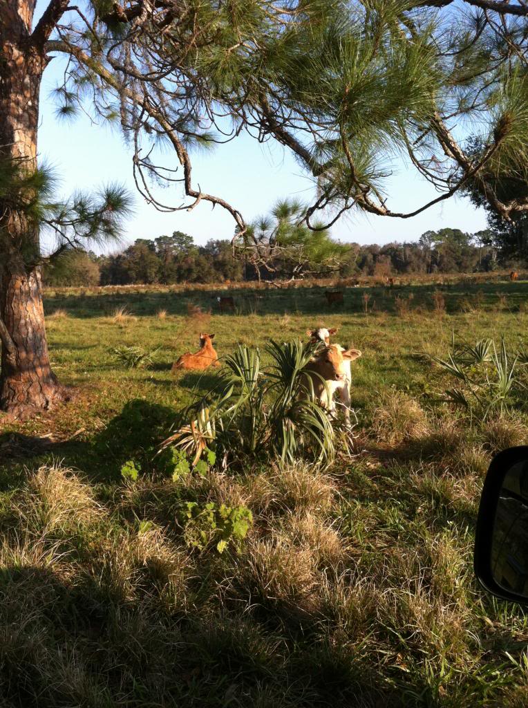 Name:  January2013Campingatthecabinandmore013_zps26fd4d55.jpg
Views: 31
Size:  210.9 KB