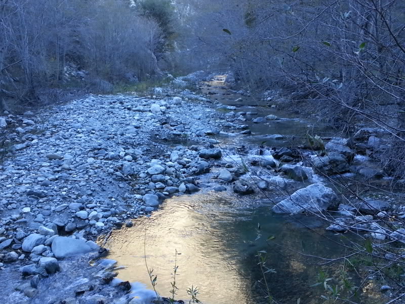 Name:  20130119_094024.jpg
Views: 125
Size:  165.4 KB