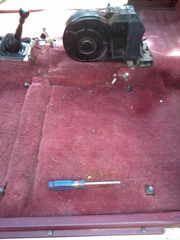 Name:  Carpetold.jpg
Views: 831
Size:  94.2 KB
