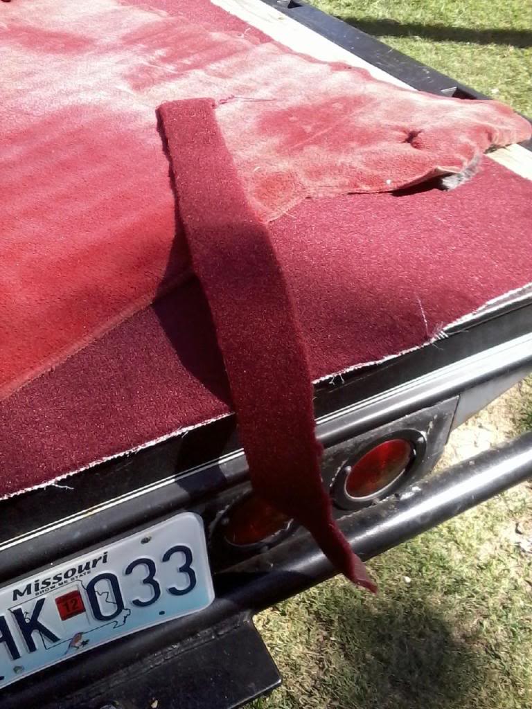 Name:  Carpetorignalstrip.jpg
Views: 614
Size:  130.8 KB