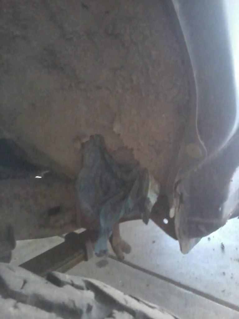Name:  843.jpg
Views: 143
Size:  20.7 KB