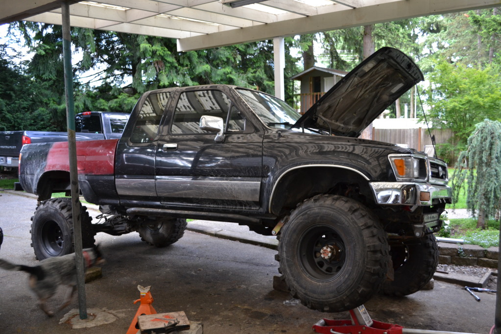 Name:  DSC_0449.jpg
Views: 92
Size:  264.6 KB