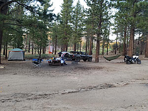 Spacemonkee23's 87 4Runner SR5-iecgchc.jpg
