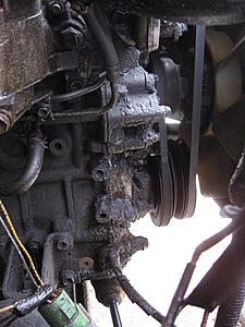 Alaskanhusky's 1986 4x4 pickup Buildup Thread-yznga.jpg