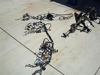 sactodreamer's 1991 4Runner Build-Up Thread-wires-out-medium-.jpg