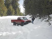 Cartertannahill971's 1987 Toyota Pickup-image-2395769315.jpg