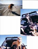 Photo Madness-navigators0001.jpg