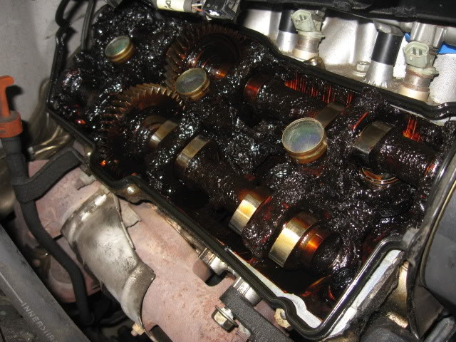 Name:  IMG_2409.jpg
Views: 1620
Size:  92.3 KB