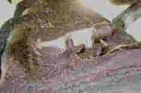 What is this connection?-diff2.jpg