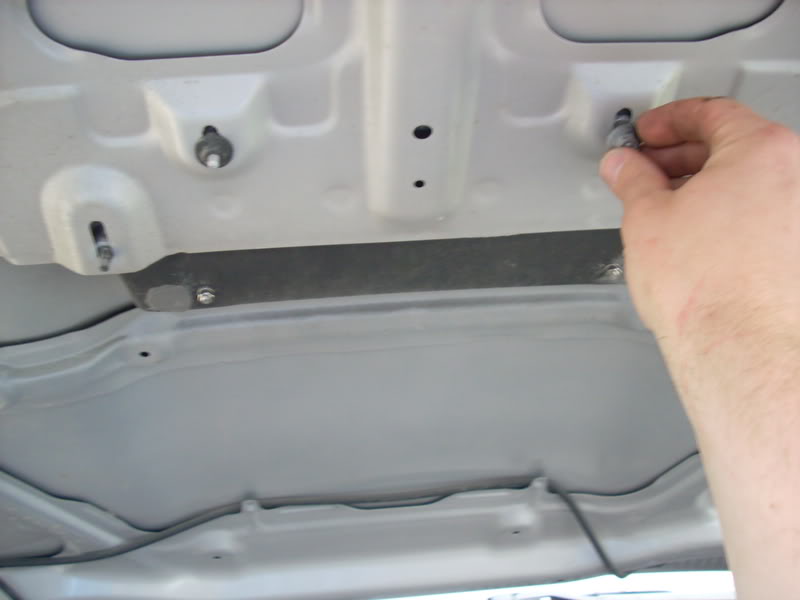 Name:  bulgeattaching.jpg
Views: 9376
Size:  63.9 KB