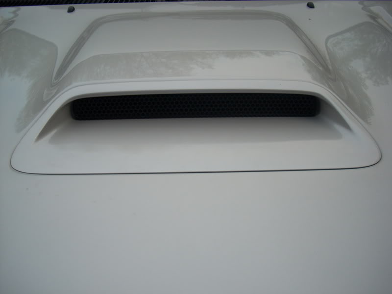 Name:  bulgeinstalled.jpg
Views: 9182
Size:  57.4 KB