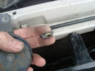 Name:  CaddyHorn007.jpg
Views: 3628
Size:  21.5 KB